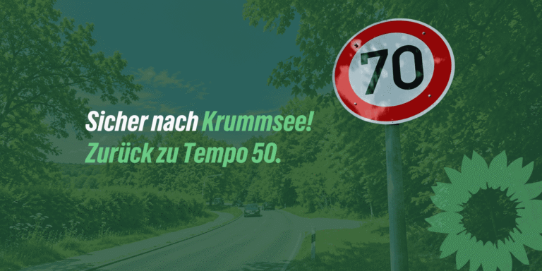 Sicher nach Krummsee – Petition für Tempo 50 auf der Rövkampallee