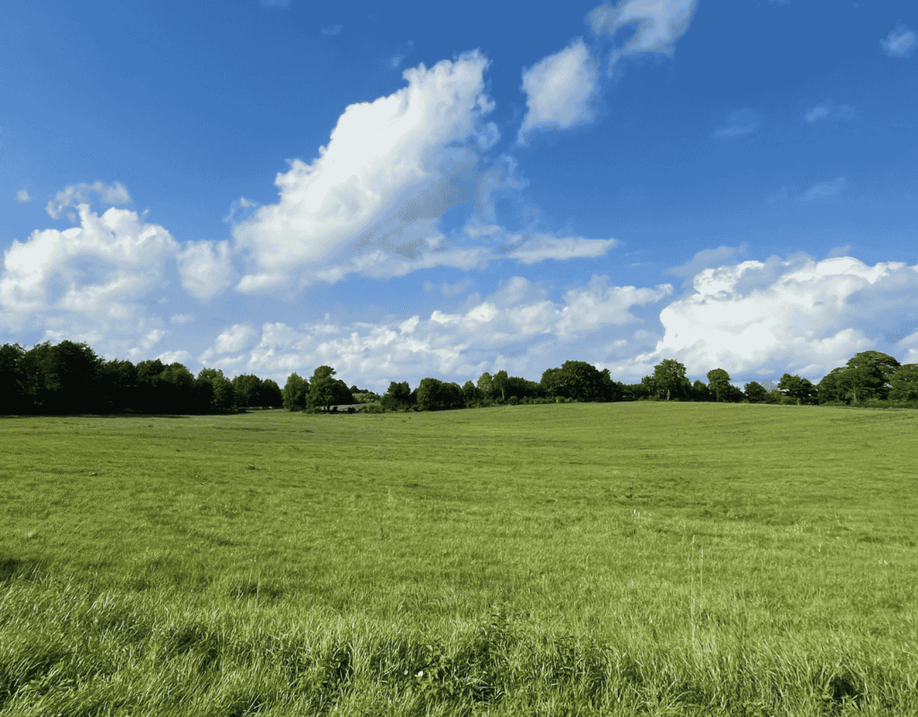 Weite grüne Wiesenlandschaft bei Nüchel mit Baumreihen und blauem Himmel mit großen weißen Wolken.