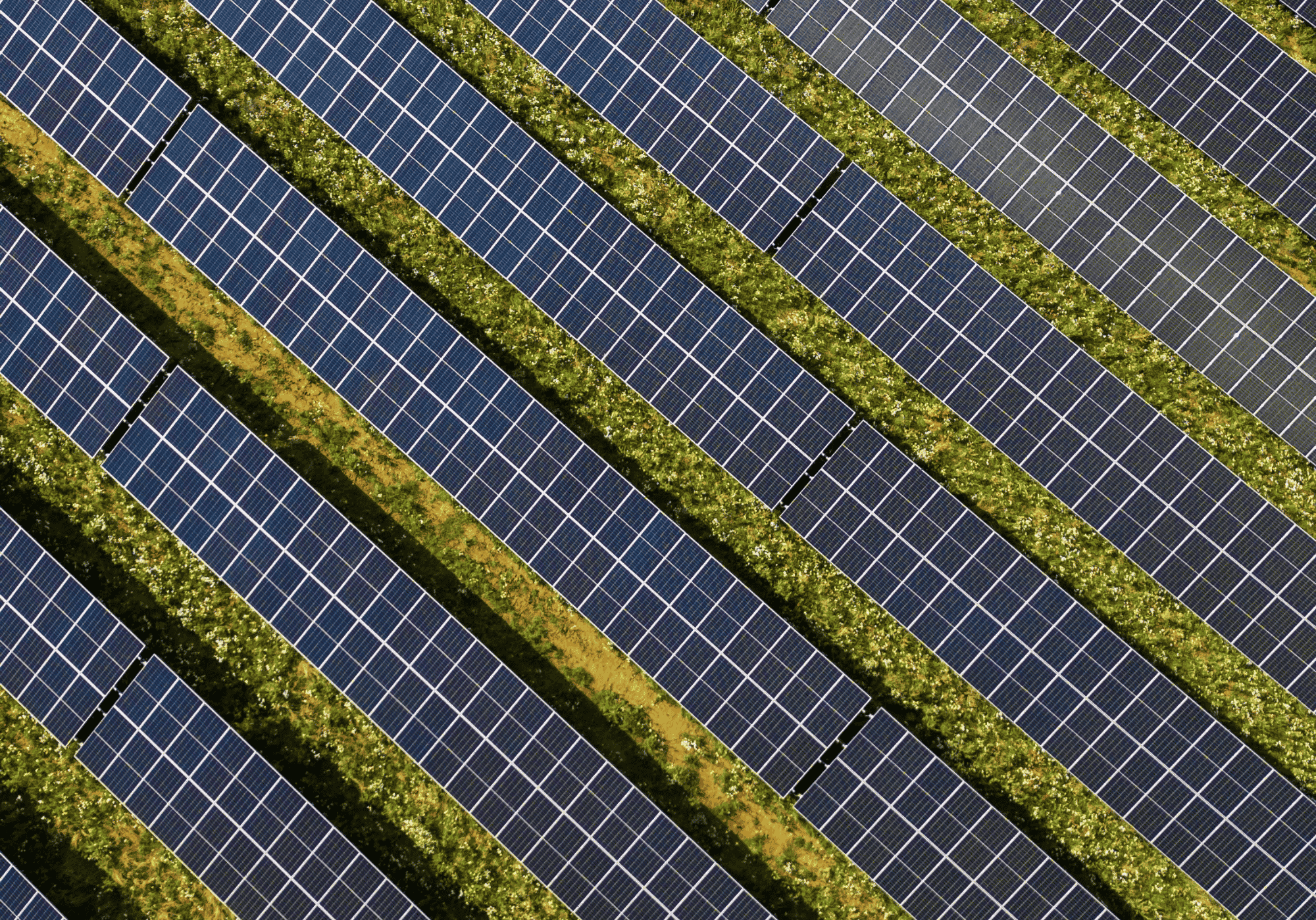 Luftaufnahme einer Photovoltaik-Freiflächenanlage mit langen Reihen von Solarmodulen auf einer begrünten Fläche.