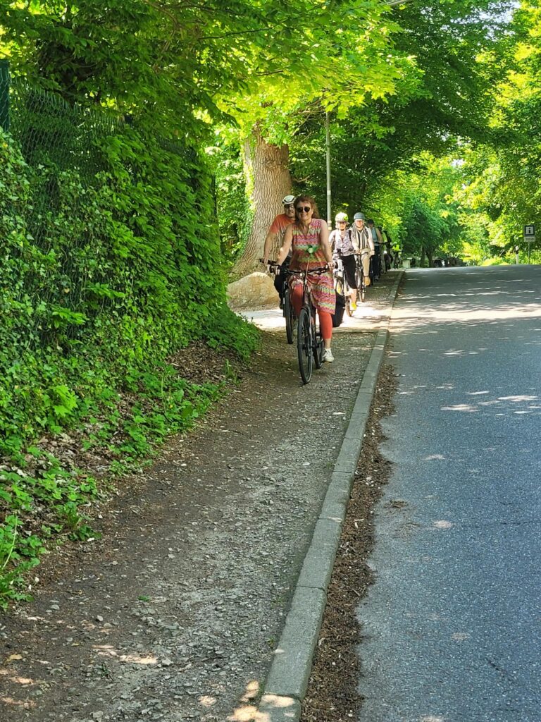 Gruppe der GRÜNEN Malente bei einer gemeinsamen Testfahrt mit Fahrrädern auf einem schmalen Weg neben einer Straße.