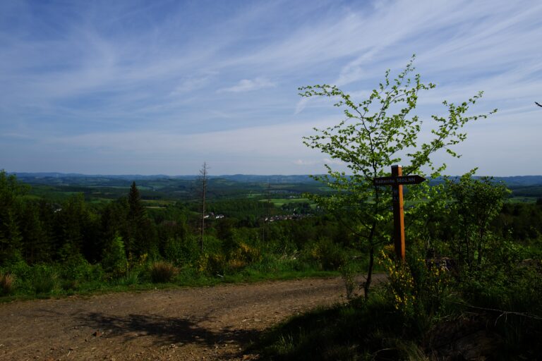 Ein Jahr Fahrrad